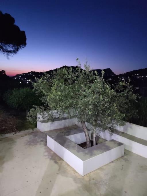 Το Σπιτάκι To Spitaki Τhe Little House Villa Panormos  Eksteriør bilde