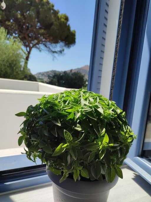 Το Σπιτάκι To Spitaki Τhe Little House Villa Panormos  Eksteriør bilde