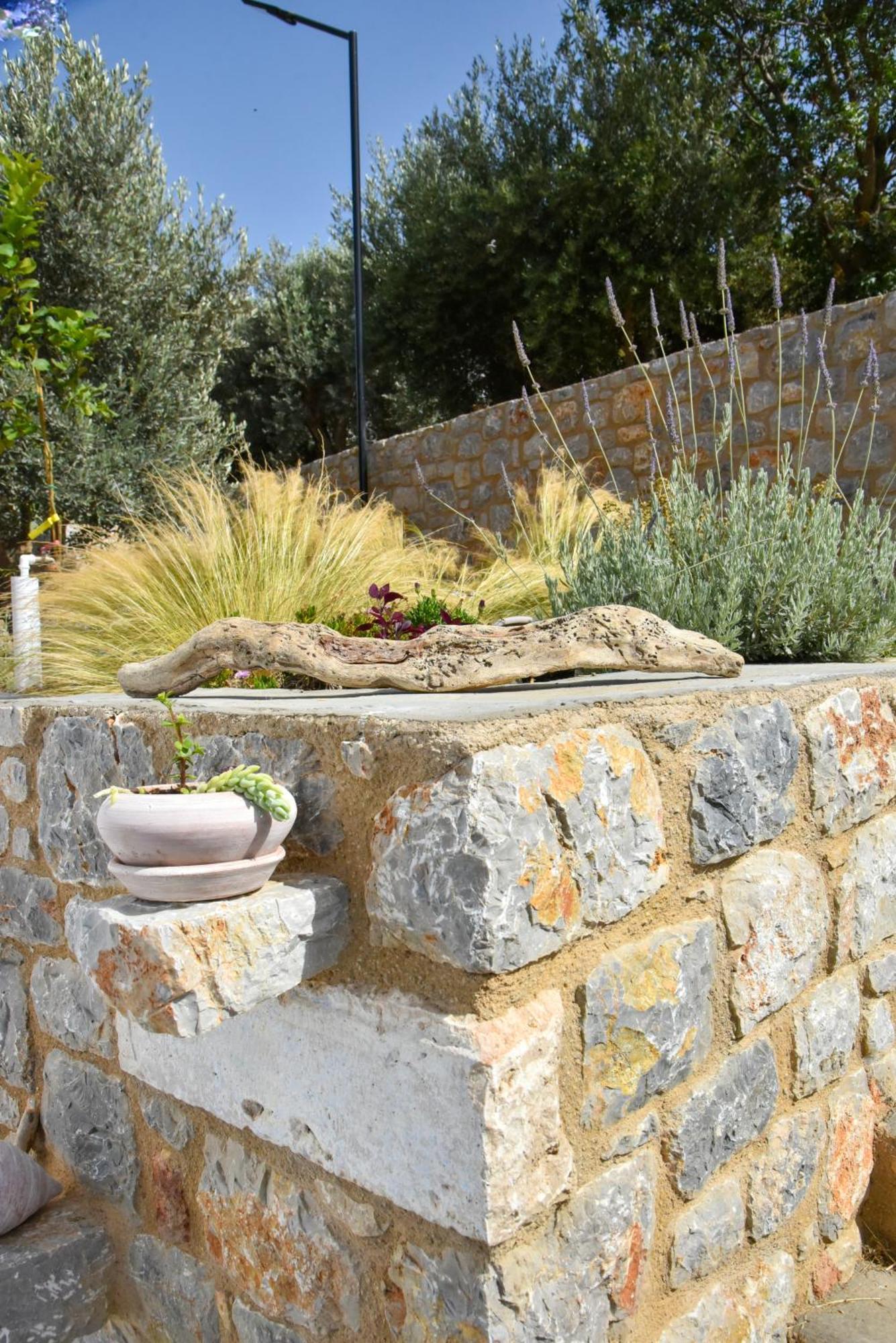 Το Σπιτάκι To Spitaki Τhe Little House Villa Panormos  Eksteriør bilde